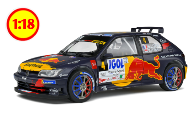 PEUGEOT 306 MAXI – RALLYE DU MONT 2021 1/18